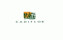 Cadiflor, société d'aménagement d'espaces verts